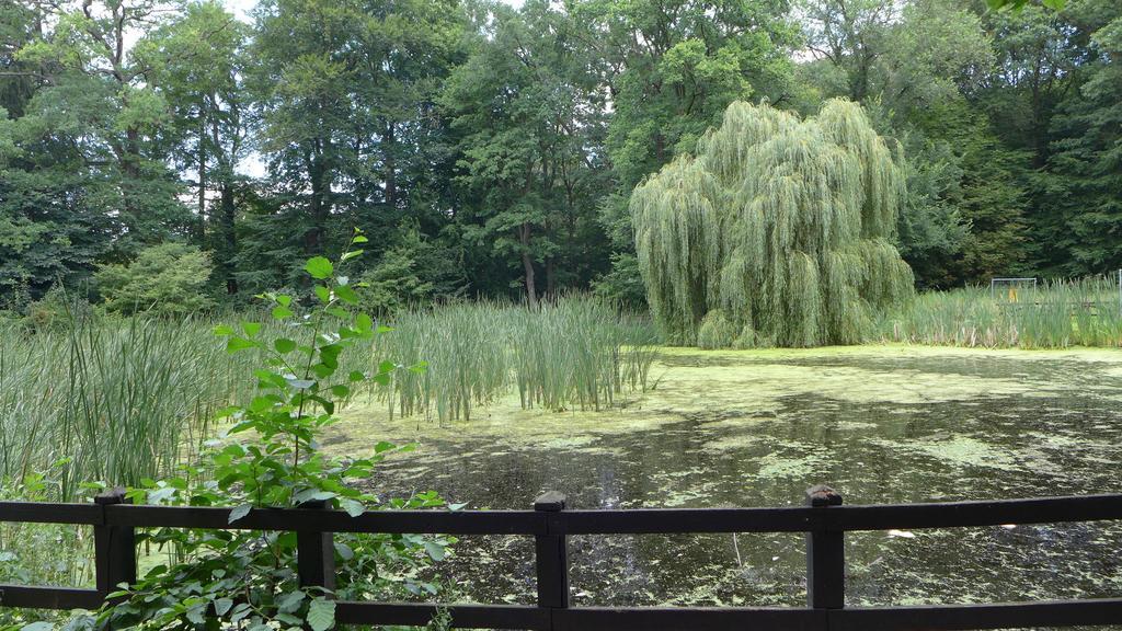 Ferienhaus Natura Neuruppin Pokój zdjęcie