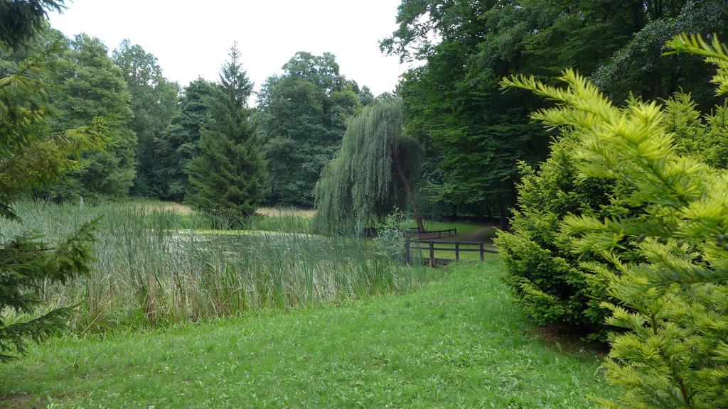 Ferienhaus Natura Neuruppin Pokój zdjęcie