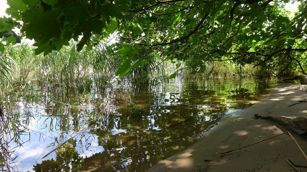 Ferienhaus Natura Neuruppin Pokój zdjęcie