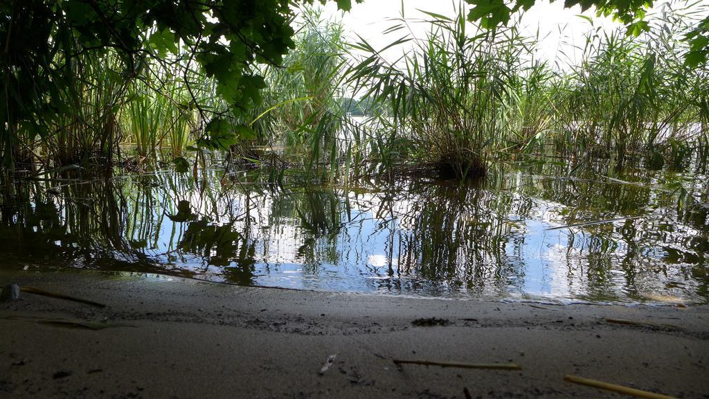 Ferienhaus Natura Neuruppin Pokój zdjęcie