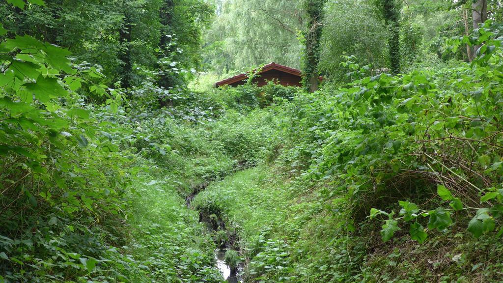 Ferienhaus Natura Neuruppin Pokój zdjęcie